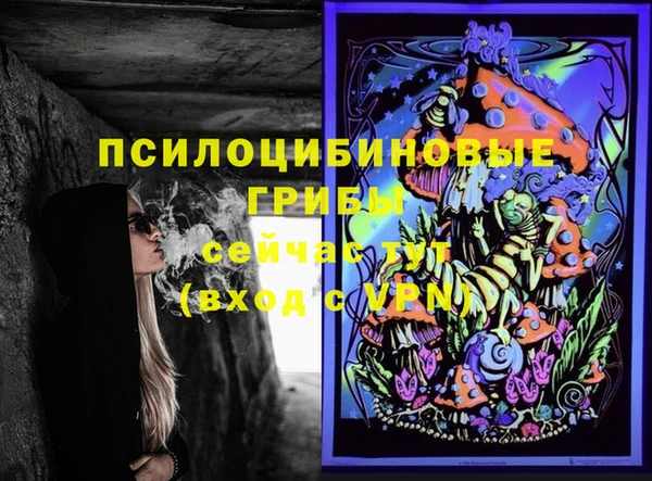 2c-b Слюдянка