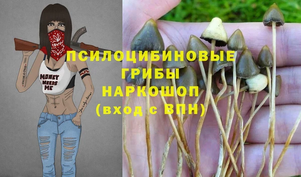 мяу мяу мука Снежинск