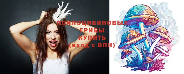 2c-b Слюдянка