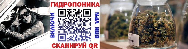 Купить  Малгобек  МАРИХУАНА ГИДРОПОН 